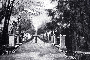 Der Eingang zum Park im Jahr 1904. Ein eisernes Tor konnte den Zugang zum "Chaiseweg", der heutigen Rotlintallee, versperren.